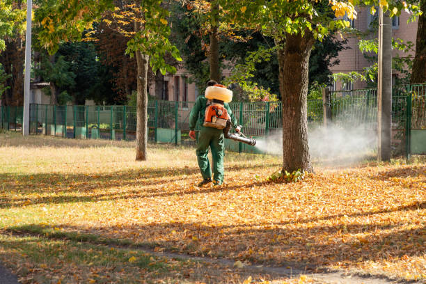 Best Best Pest Control Companies  in Warson Woods, MO